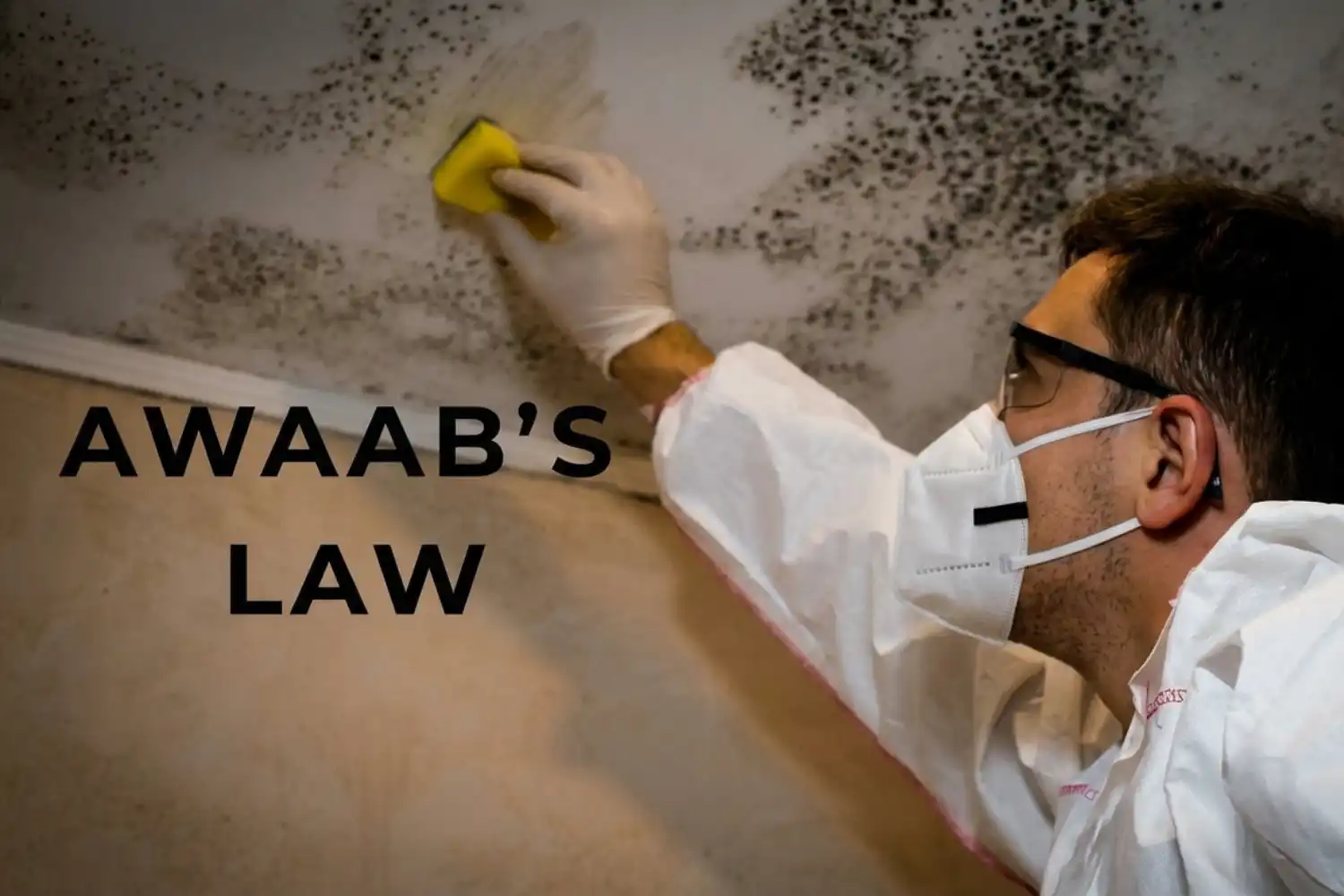 Awaab's Law UK – professional worker in protective equipment treating black mould and damp on ceiling in social housing property, tenant rights